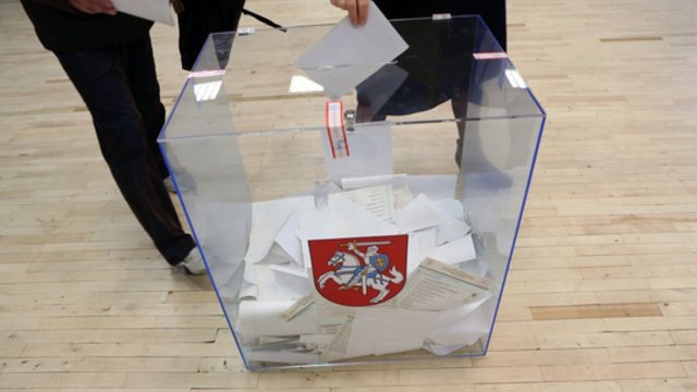 Pasaulio lietuvių atstovas apie balsavimą užsienyje: buvo sutelktos titaniškos pastangos, kad tai įvyktų