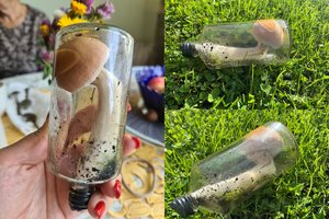 Grybautojai miške prie Kauno aptiko stulbinantį radinį: atrodo neįtikėtinai