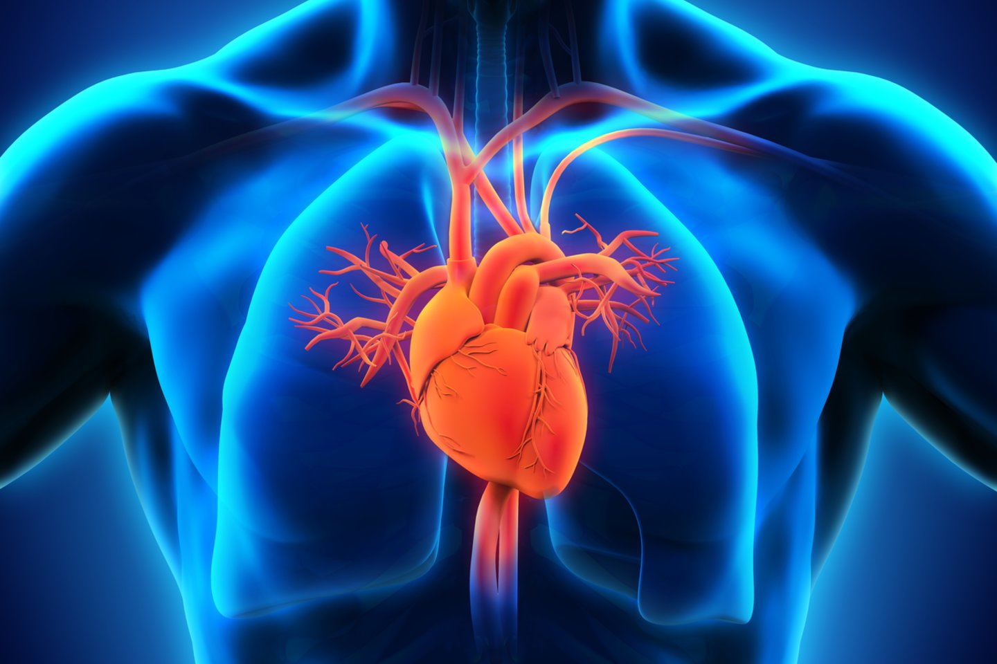 Sveikatos mokymo ir ligų prevencijos centras primena, jog rugsėjo 29-ąją Pasaulinės širdies federacijos iniciatyva minima Pasaulinė širdies diena.  <br>123rf nuotr.