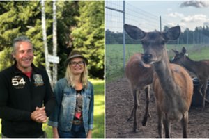 Vilniečiai pasiūlė unikalią pramogą – elnių terapiją: čia kiekvienas gali tikėtis poveikio sielai