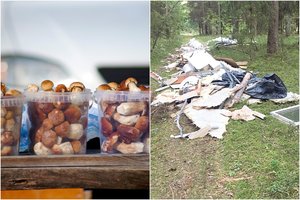 Grybauti išsiruošęs vyras grįžo ir piktas, ir nusivylęs: žmonių elgesys stebina