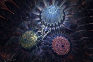 VDFF specialiojoje programoje – išskirtinė virtualios realybės patirtis ir filmai, tyrinėjantys tarpines būsenas