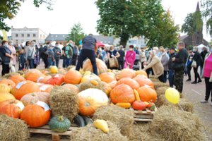  Kretingos rajone išaugintas moliūgas gali tapti Lietuvos rekordininku 