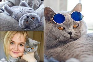 „Instagram“ žvaigžde tapusi alytiškės katė skanėstams užsidirba pati