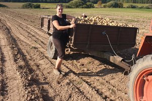 Iš emigracijos grįžusi pora ūkį kuria senelių žemėje – išaugintas bulves veš į užsienį