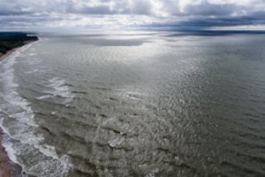 Kaip išgelbėti Baltijos jūrą? Virtualioje konferencijoje – Lietuvos ir užsienio šalių patirtis