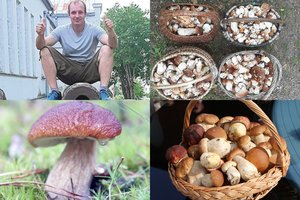 Garliaviškio grybautojo Audriaus rekordas: surinko 3200 baravykų