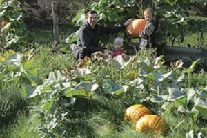 Auginti moliūgus – ir džiaugsmas, ir pramoga