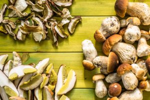 Džiovindami grybus, vaisius ar uogas nedarykite vienos klaidos