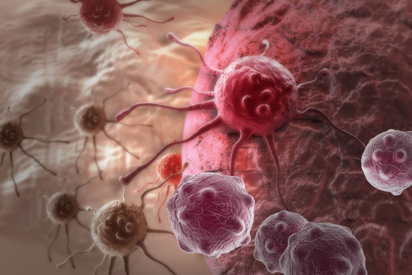 Naujai atrastos imuninės ląstelės gali paskatinti sukurti universalų vėžio gydymą.<br>123rf nuotr.