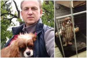 Pirkėjos apžavėtas Rokiškio r. meras pardavė šunelį į veisyklą Kretingos r.: kainos neatskleidžia