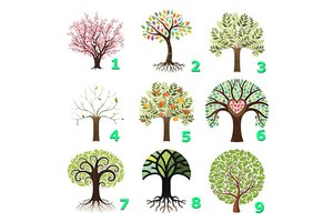 Itin tikslus testas: kuris medis jūsų?