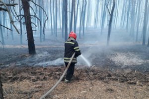 Ukrainos Luhansko srityje miškų gaisrų aukų skaičius išaugo iki devynių