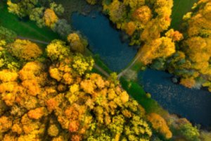 Atraskite gražiausias rudenėjančios Lietuvos vietas: 5 idėjos, kaip įdomiai praleisti savaitgalį