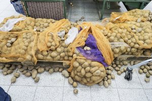 Lenkai už bulvių kilogramą gauna 7 centus – štai kiek už jas parduotuvėj moka lietuviai  