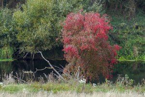Lietuvos meteorologai fiksavo rekordus: to nebuvo nuo 1961-ųjų 