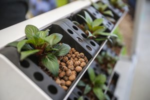 Prognozė: žemės ūkio produktų eksportas šiemet augs bent 5 proc.