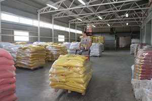 Antroje rugsėjo pusėje dalies grūdų supirkimo kainos augo