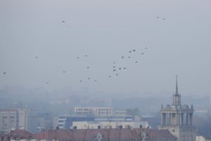 Lietus ir vėjas išsklaidė smarkiai išaugusį oro užterštumą, tačiau specialiai įspėja: „Teršalai gali sugrįžti“