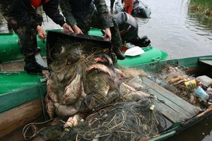Aplinkosaugininkai perspėja žuvies mėgėjus: nepirkite jos iš brakonierių