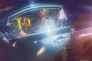 Naujutėlaitį automobilį briedis suniokojo nepataisomai, o tada nubėgo į mišką: palangiškė džiaugiasi nenukentėjusi pati