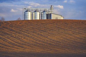 Rėmėjų daržams patręšti – aibė lengvatų