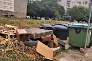 Vilniečiai raginami išsikuopti rūsius – paaiškino, kodėl nemokamai atsikratyti šiukšlių nepavyks