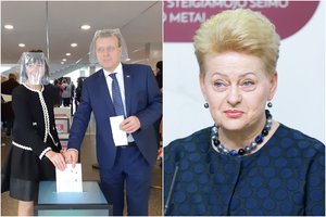Balsą atidavęs N. Puteikis tikisi suvienyti „antisistemines jėgas“, D. Grybauskaitė – atsakingo Seimo