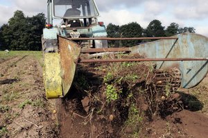 Įveikus įtarumą verta kartu įsigyti įrangos ar technikos – ir pigiau, ir racionaliau