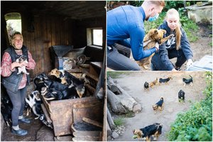 To dar nebuvo matę: iš veisyklos Panevėžio r. paimta 70 agresyvių šunų, apkandžiojo gelbėtojus