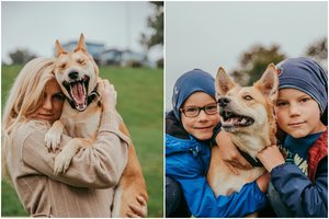 Priglaudė tikrą lobį: geriausia vaikų draugė Elė žaidžia mokyklą ir žiūri filmukus