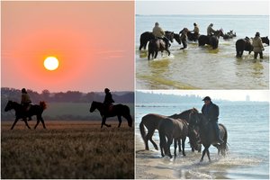 Istorinis žygis žirgais vėl kaitina jausmus: priminė Vytauto Didžiojo legendą