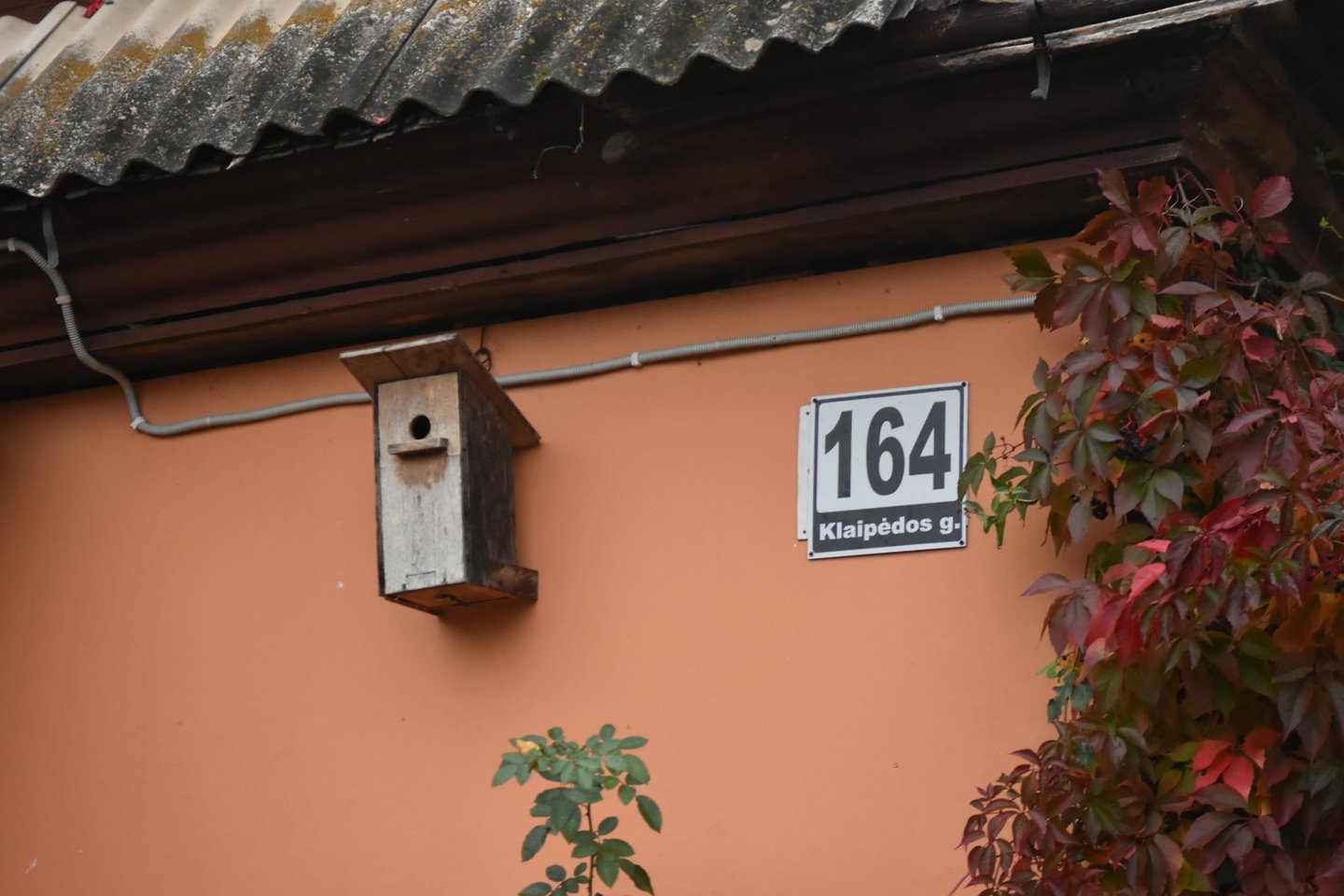  Panevėžyje pradėjo griūti namas – evakuoti žmonės, jiems teks ieškoti kito būsto.<br> R.Ančerevičiaus/jp.lt nuotr.