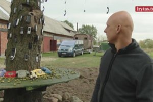 Seną kriaušę panevėžietis papuošė pamestais žmonių telefonais: čia atsidūrė jau 200 eksponatų