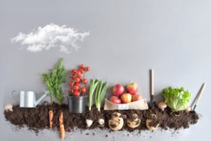 Ekologiški produktai – mada ar nauda?