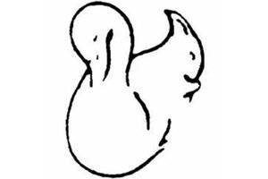 Ką pamatėte pirmą? Geras patarimas jums