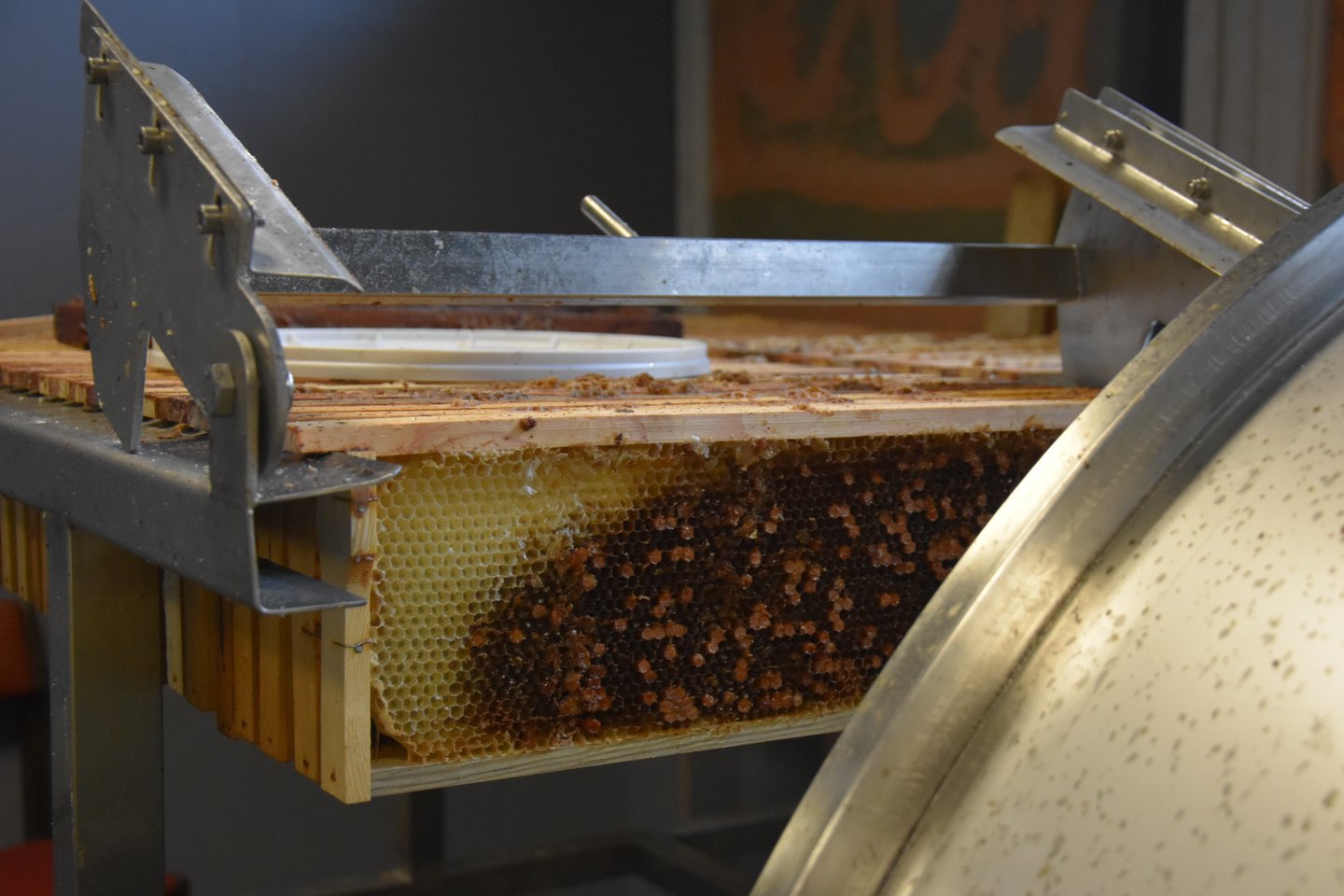 Už paramos lėšas Vaidas įsigijo dideliam bitynui būtinos įrangos.<br> A.Srėbalienės nuotr.