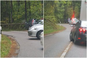 Vilniaus r. automobilis nuvertė medį, vairuotojams teko apsisukti