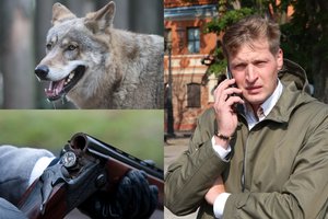Aplinkos ministro malonė medžiotojams ir ūkininkams: leido nušauti 50 vilkų daugiau nei pernai