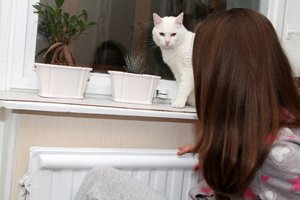 Didmiesčiuose pradedamas šildymo sezonas