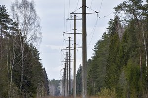 Elektros tiekėjų pasirinkimui lieka keli mėnesiai: gyventojų klausimams – speciali telefono linija