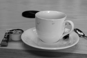 Seimas gertuvėms ir puodeliams skirs iki keliasdešimt tūkstančių eurų