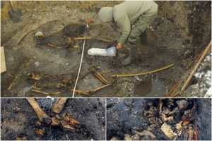 Sakmėse gali slypėti tiesa: DNR tyrimas padeda atskleisti seną dramą