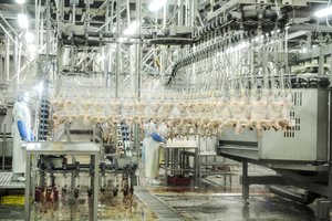 Europos Komisija patvirtino 12 mln. eurų Lietuvos paramą paukštininkystės sektoriui