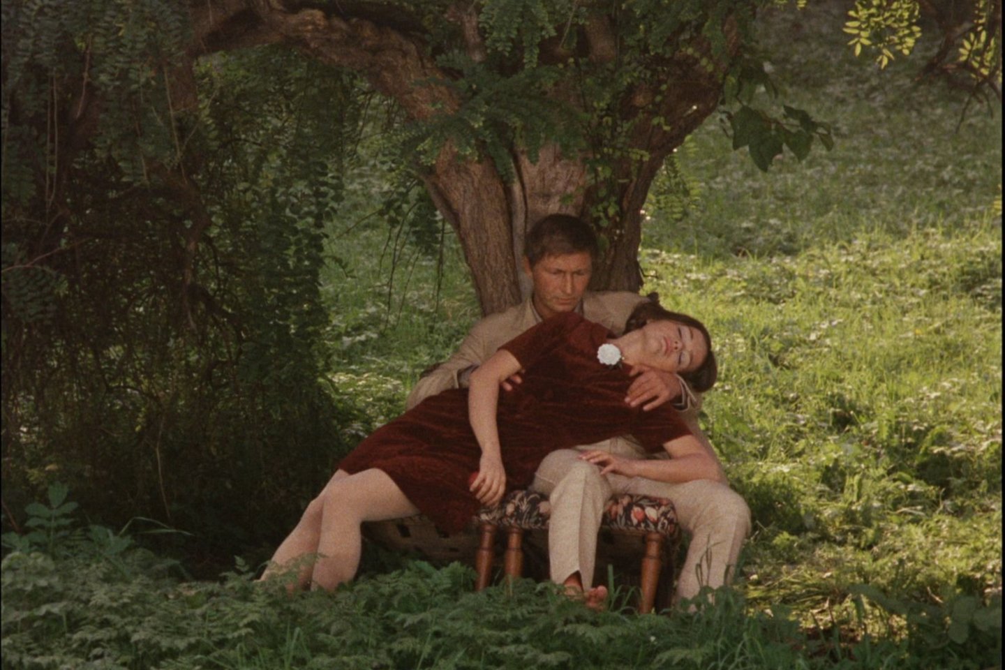 Kadras iš filmo „Valgome rojaus medžių vaisius“ .
