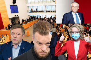 Mečys Laurinkus. Teisingi G. Landsbergio žodžiai apie Laisvės partiją ir patogi opozicijos kėdė
