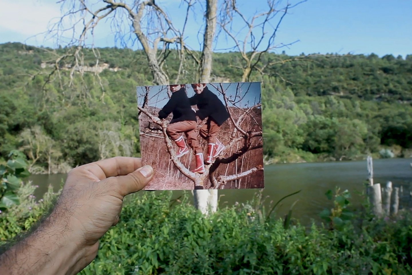 Zumiriki.