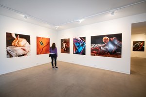 Prasideda Vilniaus galerijų savaitgalis: 34 meno erdvės, paroda observatorijoje ir aktualios diskusijos