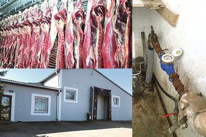 Po „Grigeo“ skandalo nepasimokėme: tyrėjai nusispjovė į mįslingą skerdyklos paslaptį