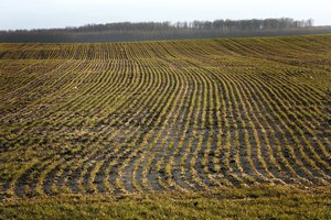 Siekia didesnių tiesioginių išmokų Lietuvos žemdirbiams: 219 eurų už hektarą